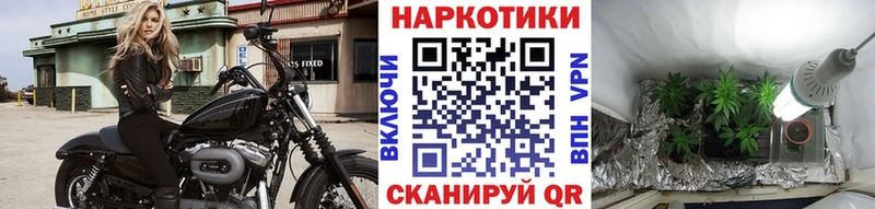 Купить закладку Чернушка СК Мефедрон Амфетамин Псилоцибиновые грибы Гашиш Кокаин