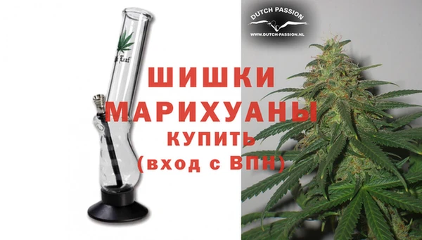 крисы Баксан