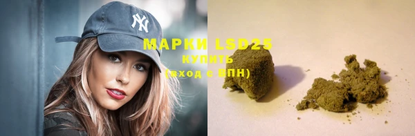 крисы Баксан