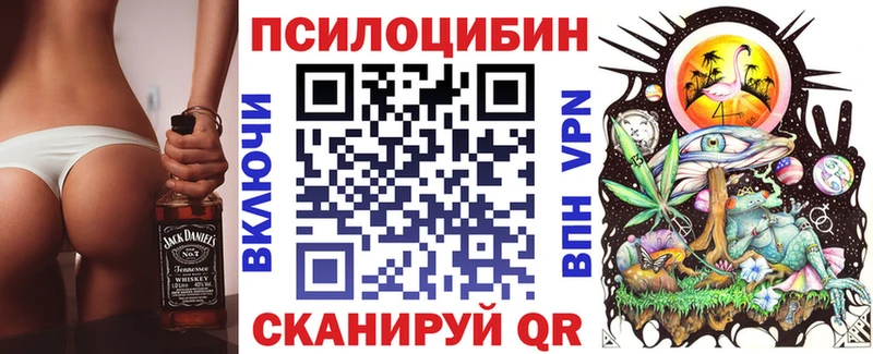 Псилоцибиновые грибы Cubensis  Чернушка 
